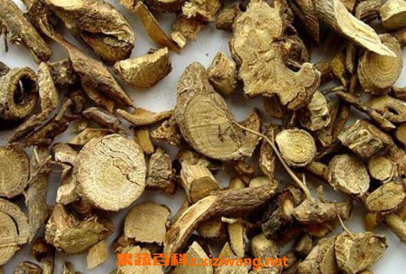 山捻子根的功效与作用 山捻子根的药用价值