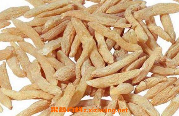 太子参的功效与作用及食用方法