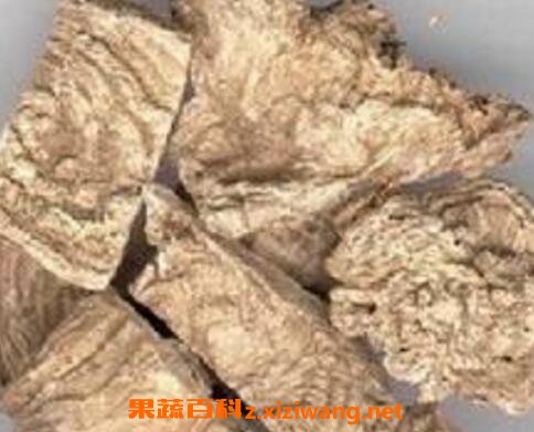 商陆根和土人参的区别 商陆根的药用价值