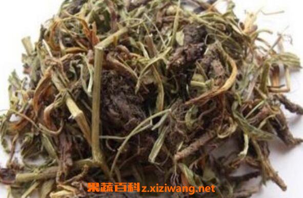 穗甘松的功效与作用 穗甘松的药用价值