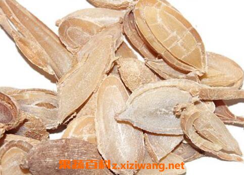 郁金的功效与作用及药用价值