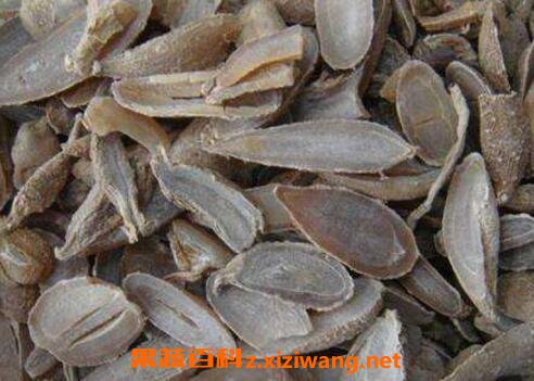 郁金的功效与作用及药用价值