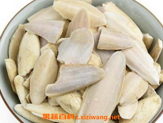墨鱼骨的功效与作用 墨鱼骨的药用价值