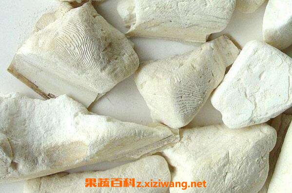 墨鱼骨的功效与作用 墨鱼骨的药用价值