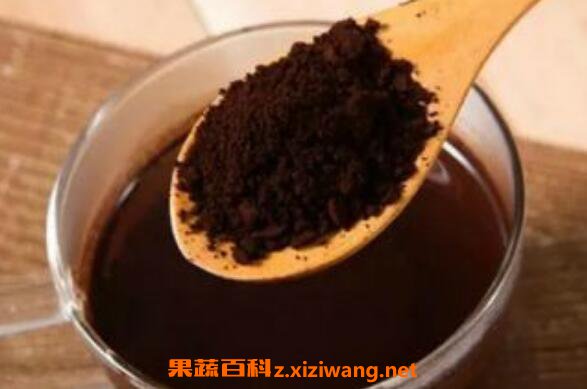 灵芝孢子粉的服用方法 灵芝孢子粉的禁忌