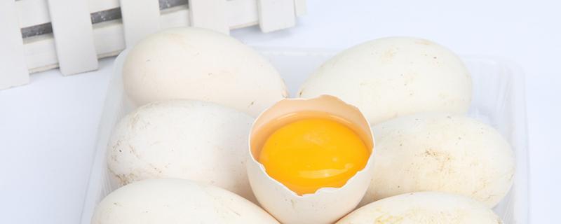 鹅蛋做蛋糕为什么发不起来 鹅蛋能做蛋糕吗
