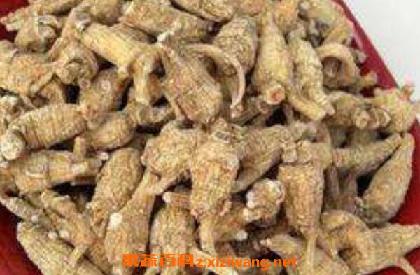 花旗参的功效与作用 花旗参的药用价值