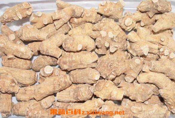 花旗参的功效与作用 花旗参的药用价值