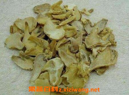 白及的功效与作用及禁忌