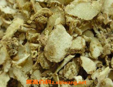 白及的功效与作用及禁忌