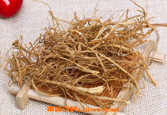参须麦冬的功效和作用 参须麦冬的禁忌