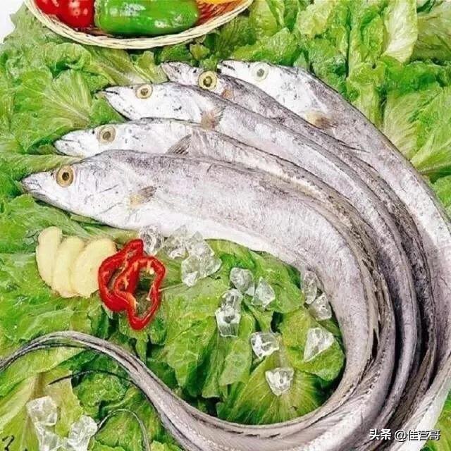 帶魚有哪些制作方法？