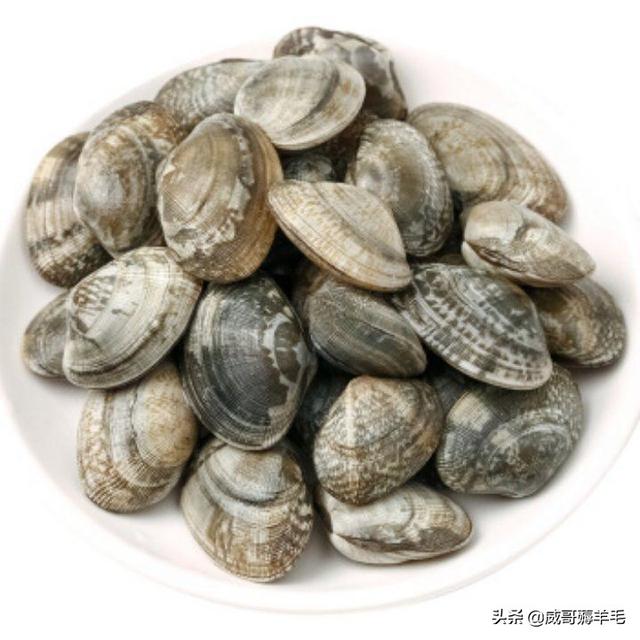 怎么让花甲快速吐沙?