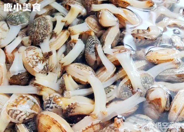 怎么让花甲快速吐沙?