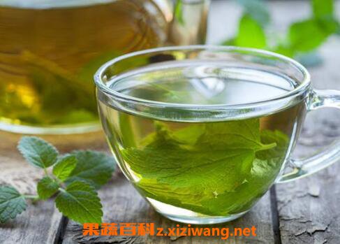 藿香叶泡水的功效与好处