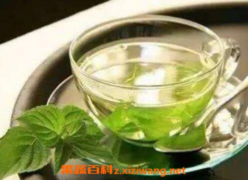 藿香叶泡水的功效与好处