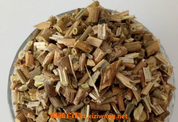 白英与白毛藤的区别