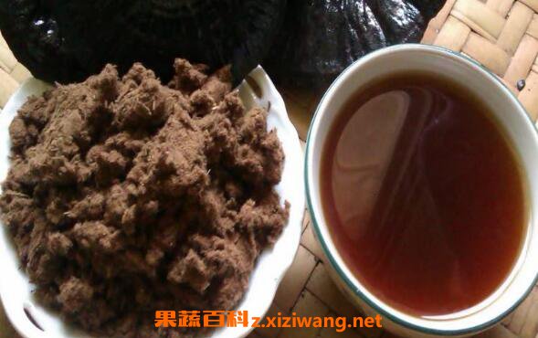 灵芝粉怎么冲水喝 灵芝粉泡水喝的方法