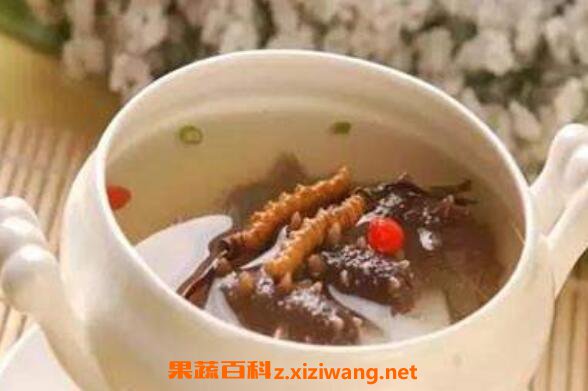 虫草怎么吃 虫草的正确食用方法