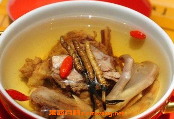 虫草怎么吃 虫草的正确食用方法