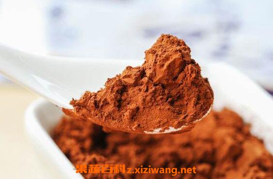 灵芝孢子粉的功效与作用有哪些