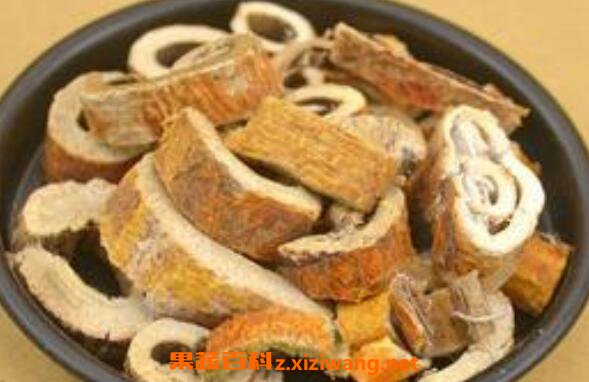 桑子根泡酒有什么作用 桑子根泡酒的功效与药用价值