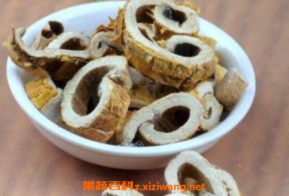 桑子根泡酒有什么作用 桑子根泡酒的功效与药用价值