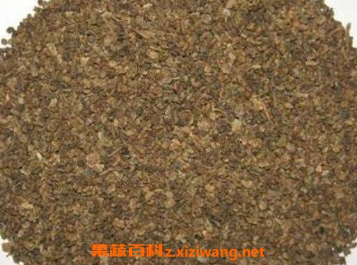 地肤子的功效与作用及食用方法