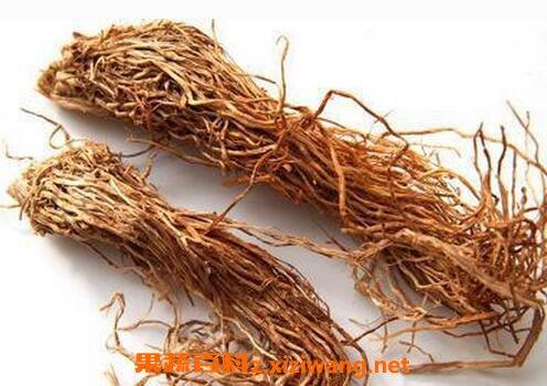 中药糯米根的功效与作用