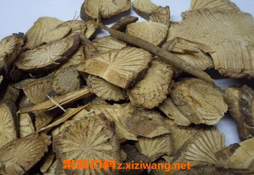钻风藤的功效与作用 钻风藤的药用价值