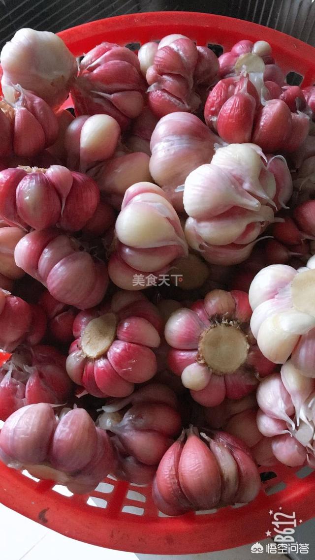 正宗的糖醋蒜的配方是什么,如何做的好吃入味?