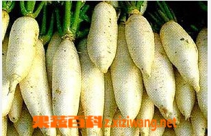 吃了西洋参还能吃萝卜吗