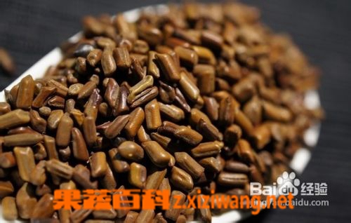 决明子的功效与作用