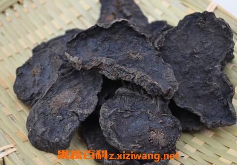 何首如何吃 何首乌怎么吃效果好