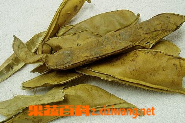 刀豆壳的功效与作用
