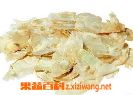 中药木蝴蝶的功效与作用