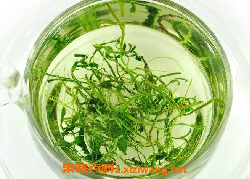 绞股蓝泡水喝的功效与作用