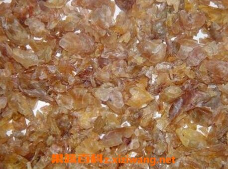 中华蛤蟆油的功效与作用