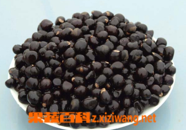 五味子泡水喝的禁忌