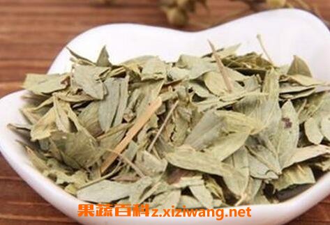 中药番泻叶的功效与作用及食用方法