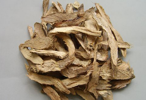 千年健的功效与作用 千年健的药用价值