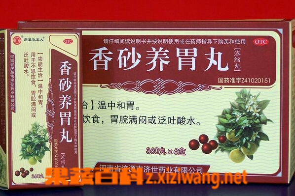 肠胃不好吃什么中药