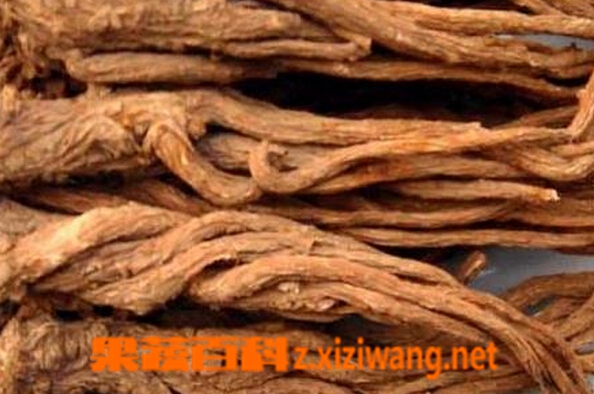 当归有什么作用 当归的功效有哪些