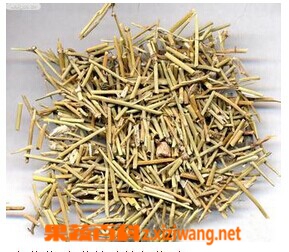 麻黄的功效与作用
