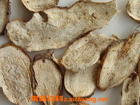 白蔹的功效与作用 白蔹的美容功效与副作用