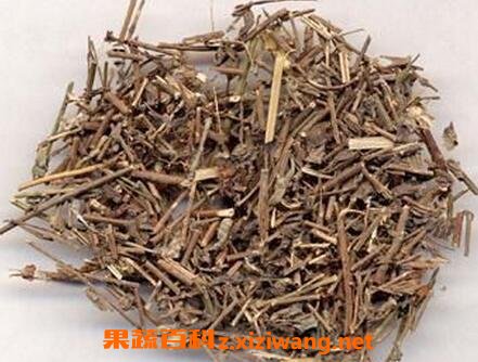 苦李根的作用与功效 苦李根的药用价值