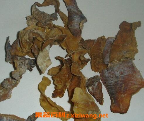 中药巴戟肉的功效作用及食用方法