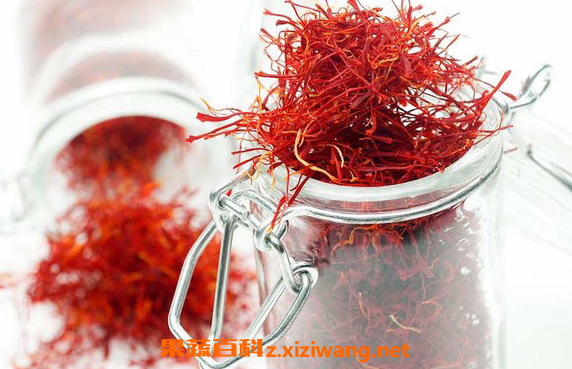 藏红花茶的功效与禁忌