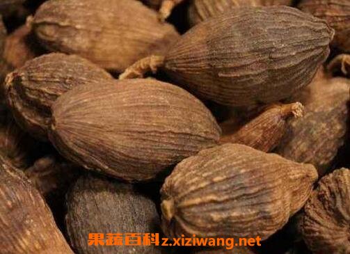 草果的功效与作用 草果的食用方法及禁忌