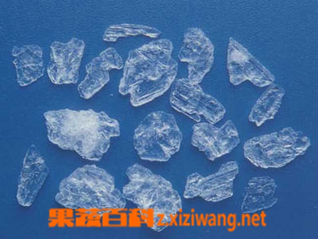 中药冰片性味归经 冰片功效作用及应用